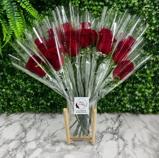 10 Rosas Embaladas Individualmente