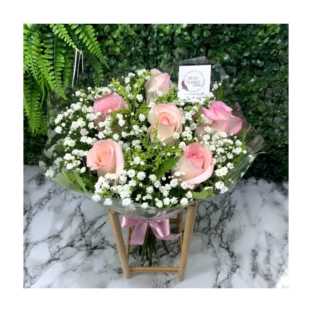 6 Rosas Cor de Rosa com Mosquito