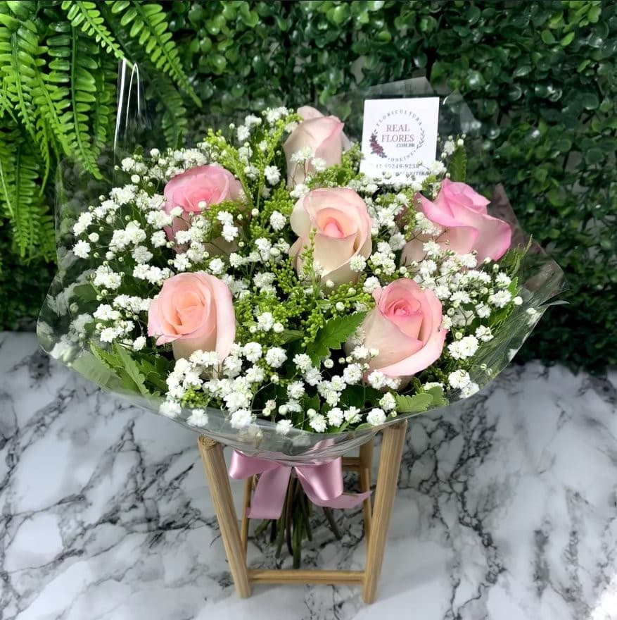 6 Rosas Cor de Rosa com Mosquito