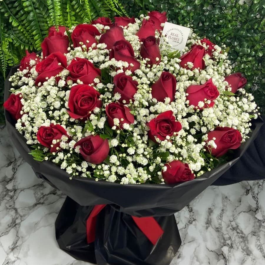 Grande 30 Rosas Vermelhas com Mosquito