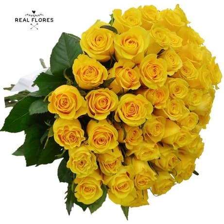 5482 Yellow Roses 