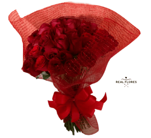 50 Rosas Vermelhas