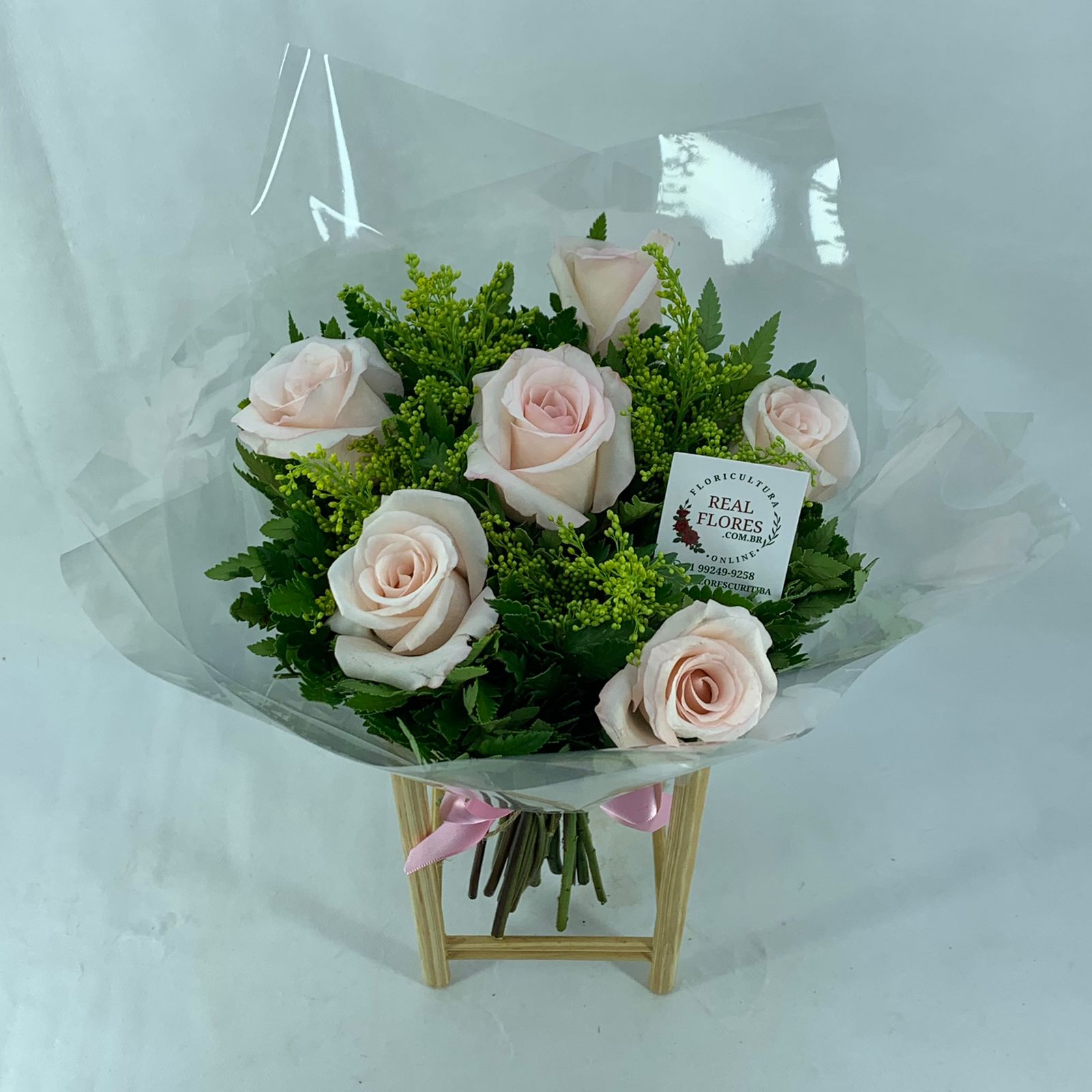 6 Rosas Vania